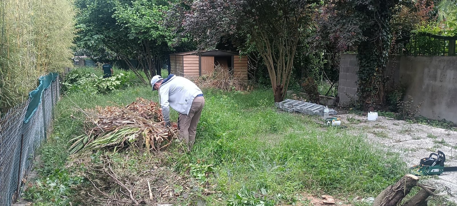 Avant — jardin envahi Activity Group