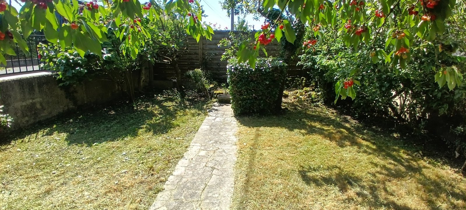 Entretien jardin tonte et taille — réalisation Activity Group