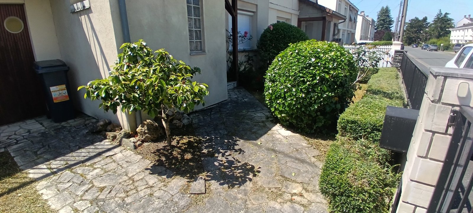 Taille haies en boule — réalisation Activity Group